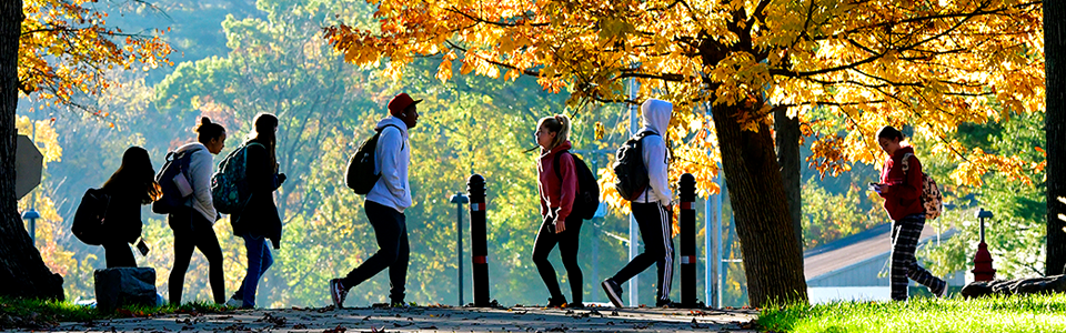 Campus in the Fall