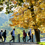 A group of students walking along a tree-lined autumn path, leaves in orange and yellow hues.