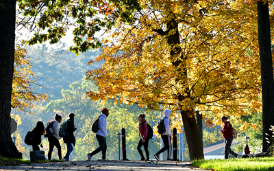 A group of students walking along a tree-lined autumn path, leaves in orange and yellow hues.